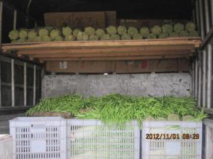 四川中江縣優質新鮮韭黃批量供應，誠邀批發商合作