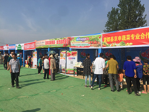 望都2017櫻桃文化旅游節暨農副產品展銷會拉開帷幕，助力地方特色食品銷售