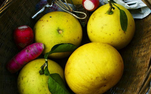 記憶中的味道 琳瑯農副產品里的童年回響