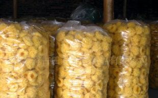 產地直銷，品質無憂 古田銀耳（白木耳）的農副產品魅力