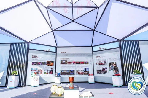 直擊第五屆江蘇志愿服務(wù)展示交流會開幕 蘇州市青年“手繪鄉(xiāng)村”志愿服務(wù)項目特展現(xiàn)場紀(jì)實